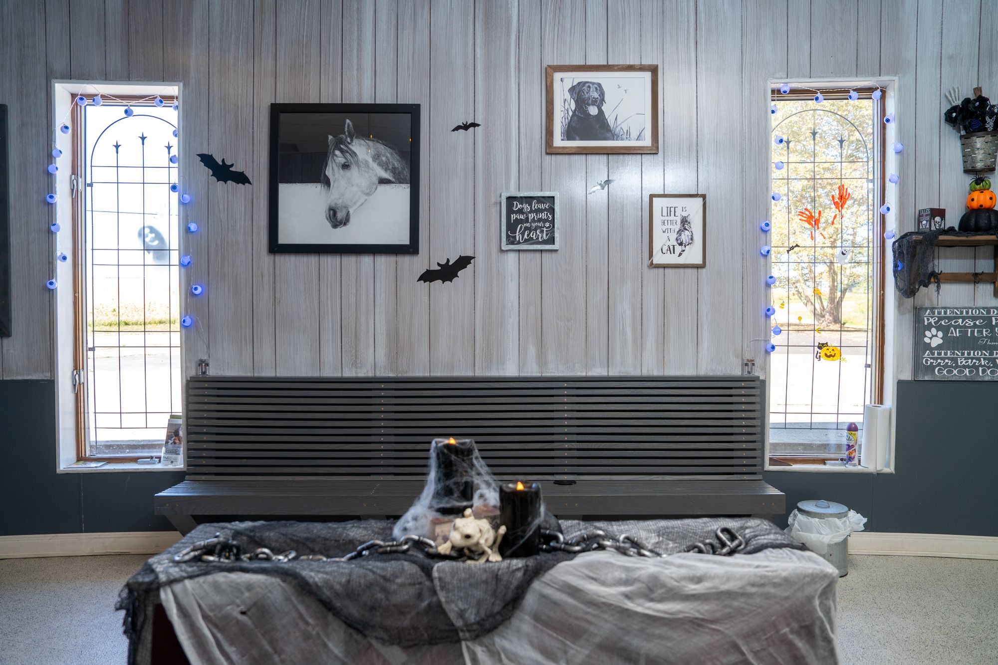 HighQuality Vet Hospital in Urbana, OH Urbana Veterinary Clinic